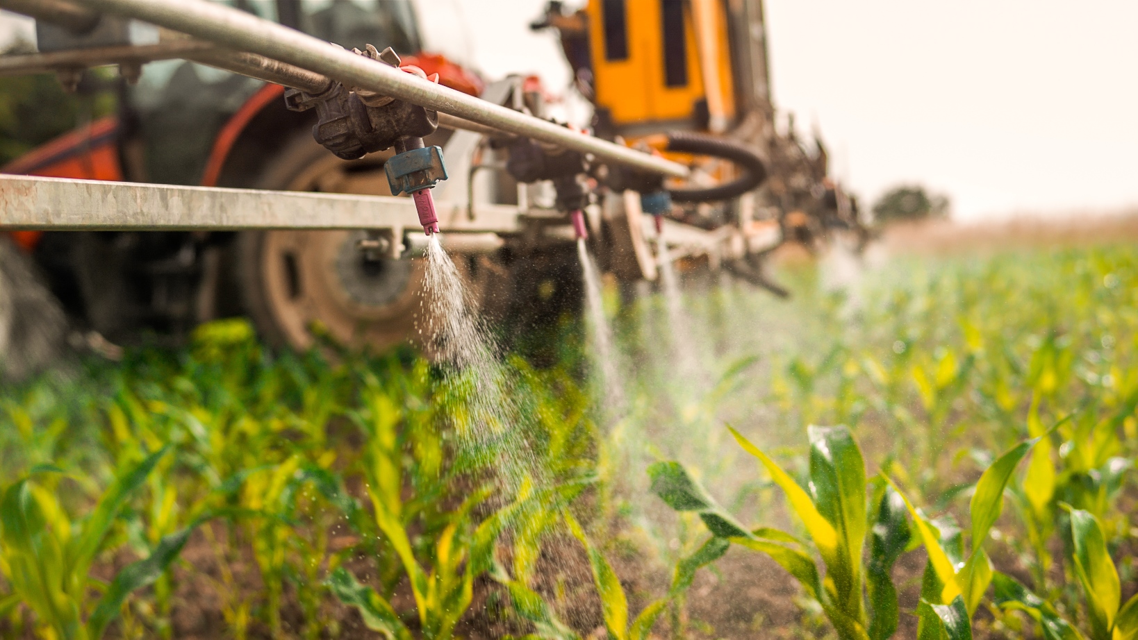 Crop sprayer spraying pesticides on crops in field.